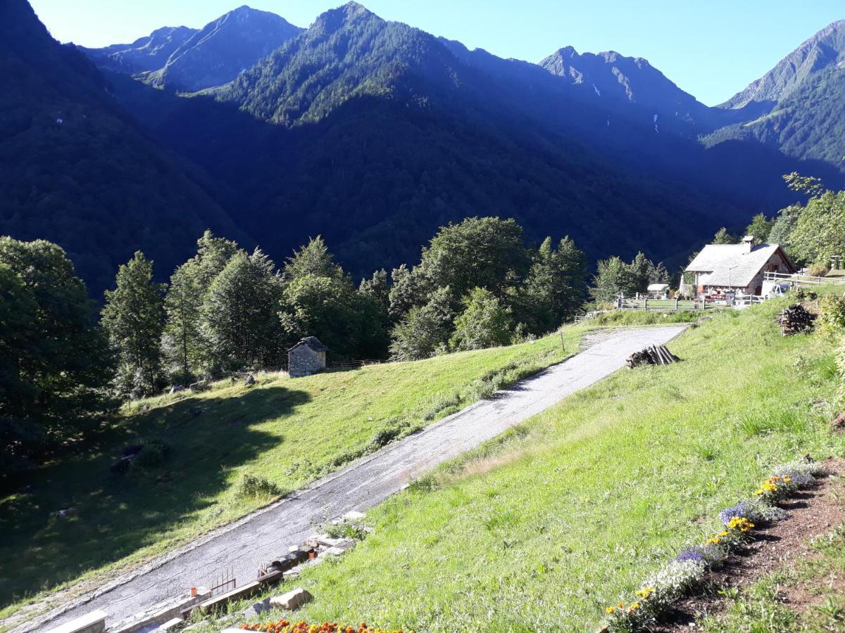 Casa All'Alpe Anzino Ngoại thất bức ảnh