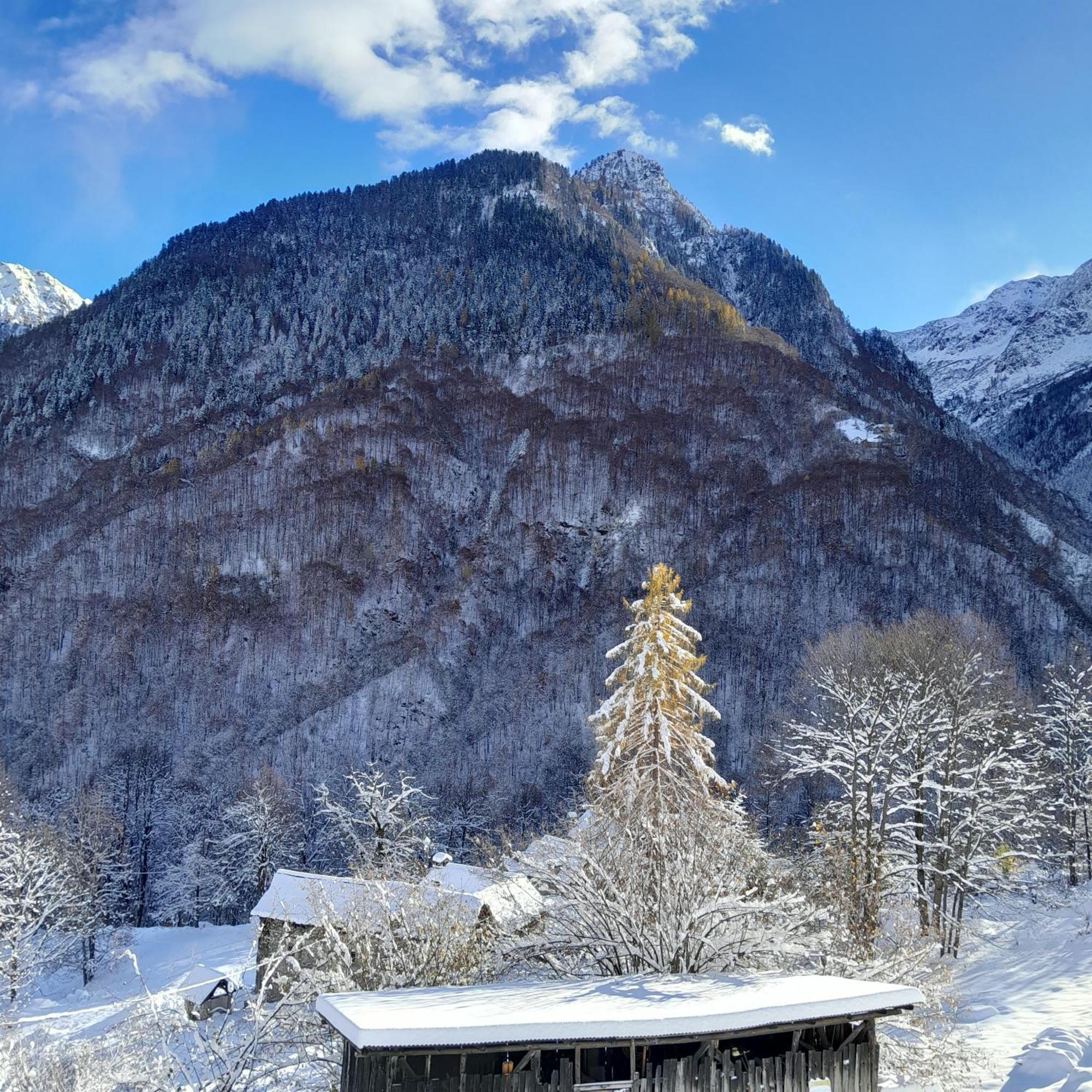 Casa All'Alpe Anzino Ngoại thất bức ảnh